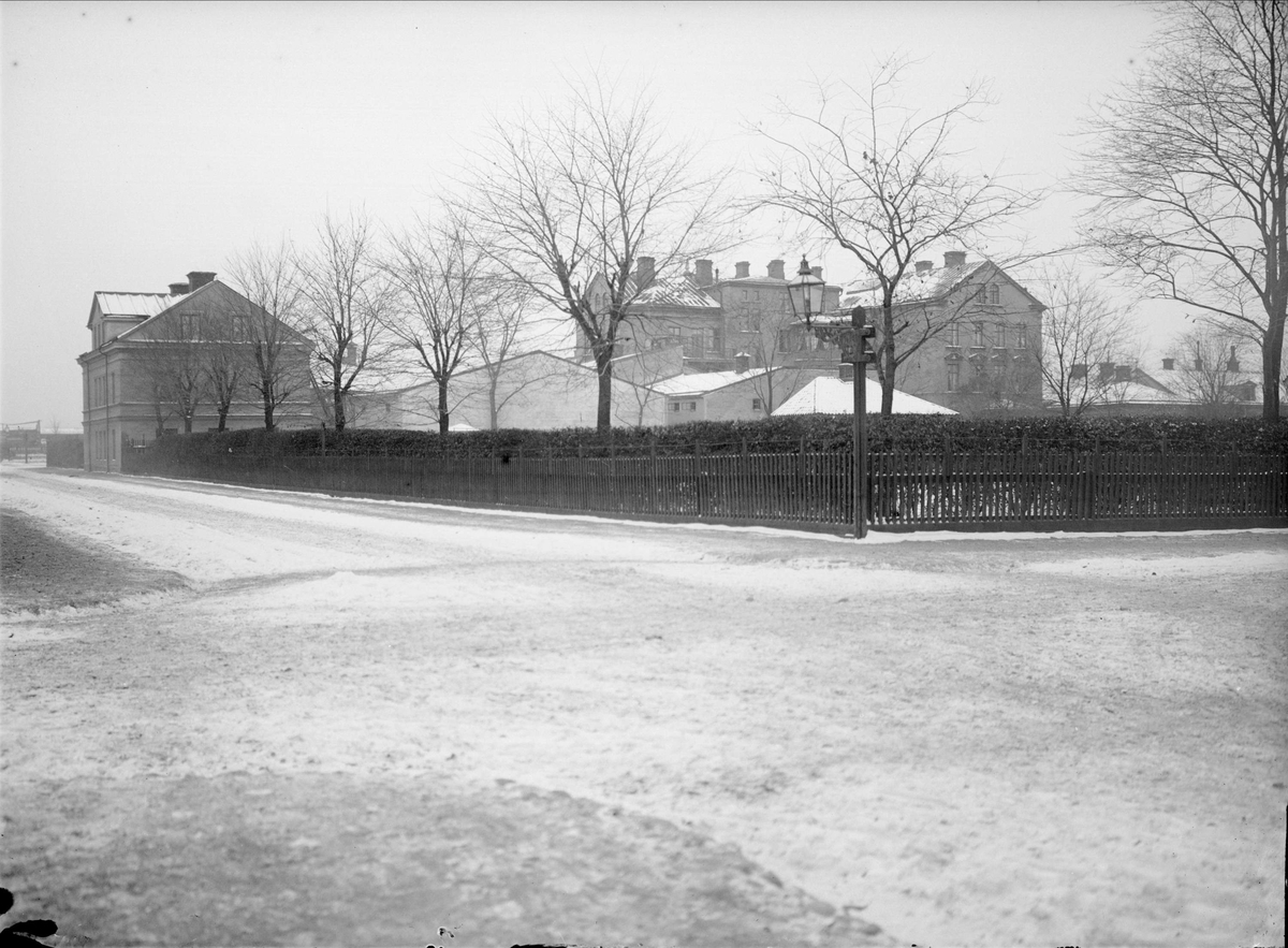 Alfred Dahlgren, Kungsgatan, kvarteret Högne, Kungsängen, Uppsala 1901 - 1902