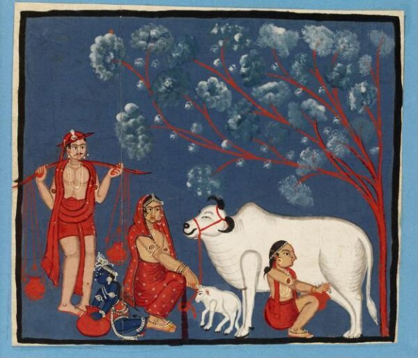 Unknown, Krishna