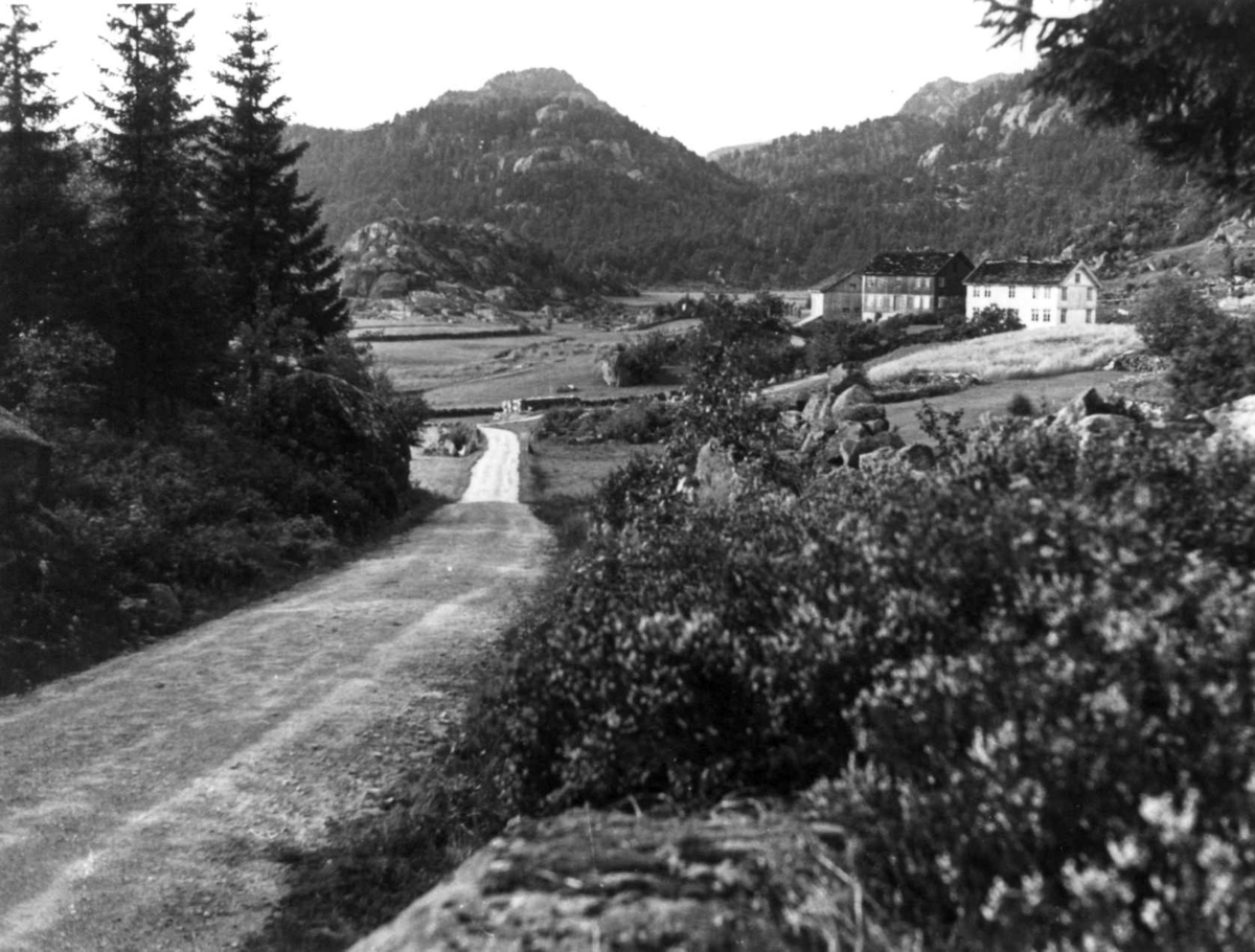 Anna Grostøl, Oversiktsbilde med Sigmund Rudlendes hus på Rossevatn øverst i dalen. Eiken 1941.