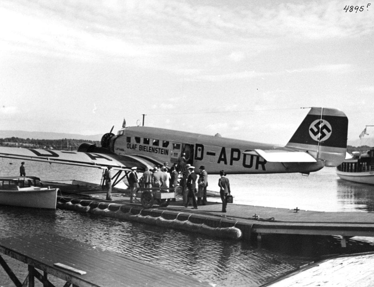 Anders Beer Wilse, Fly