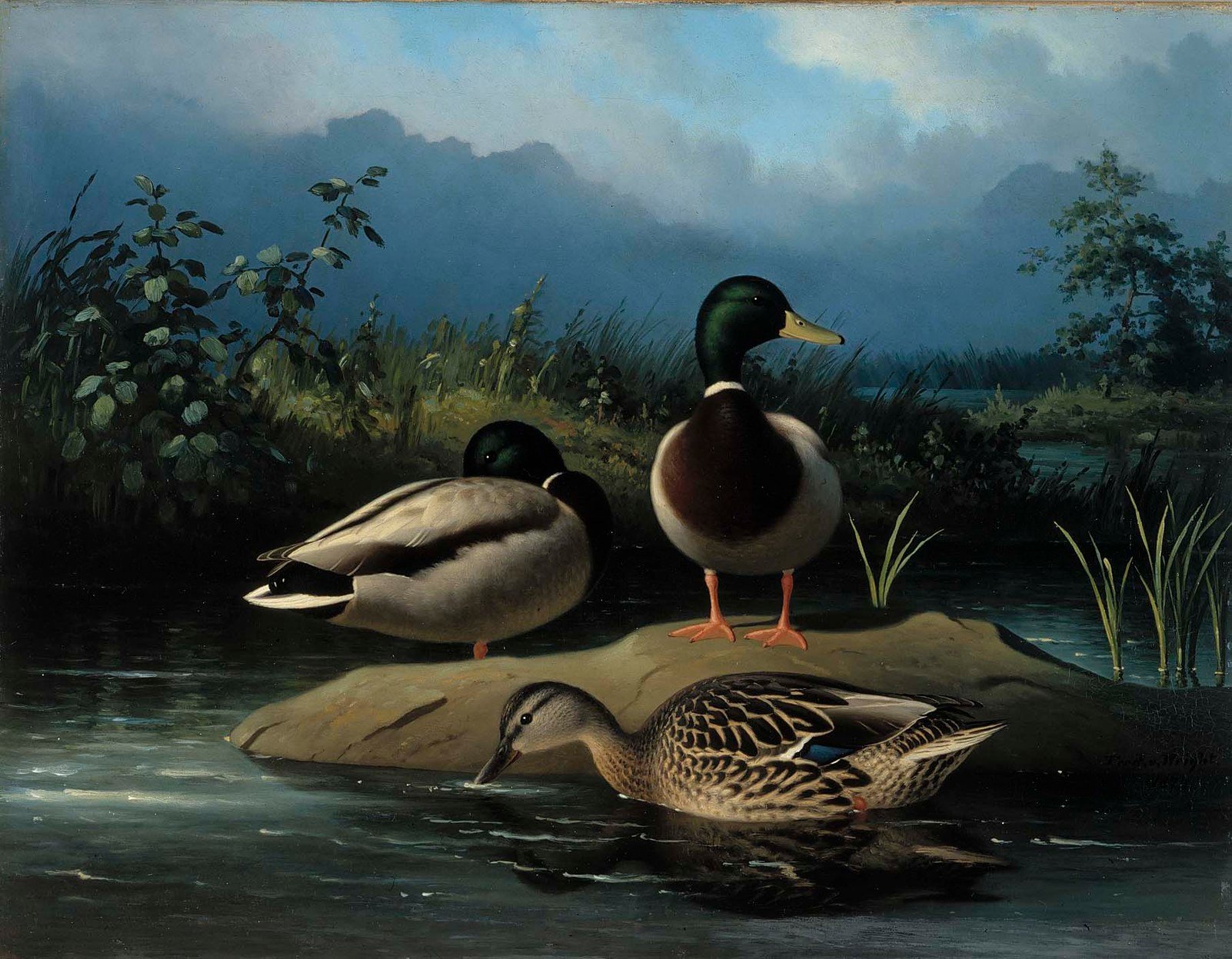 Ferdinand von Wright, Mallards