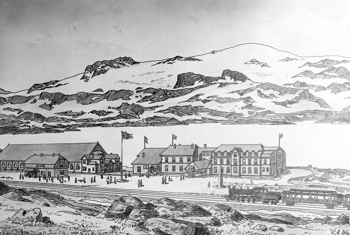 Anders Beer Wilse, Prot: Finse Hotel med Skøitebane