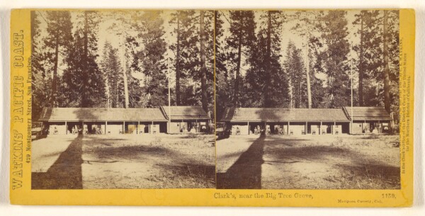 Carleton Watkins, Clark's, near the Big Tree, Mariposa County, Cal.