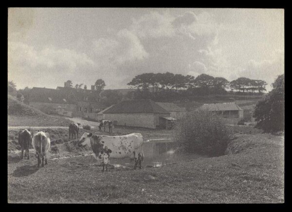 Gale, Lt. Col. Joseph, Landscape