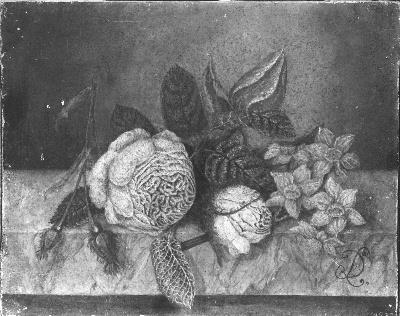 Diëgo Lopez Suasso, Bloemen