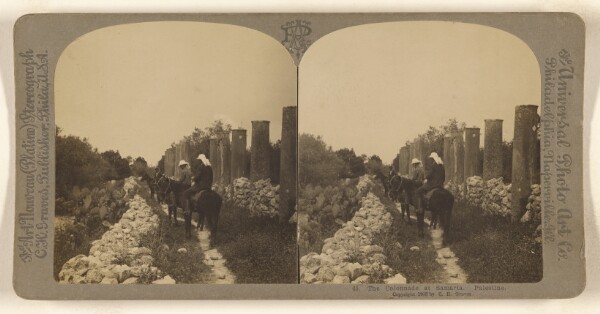 Carleton H. Graves, The Colonnade at Samaria. Palestine.