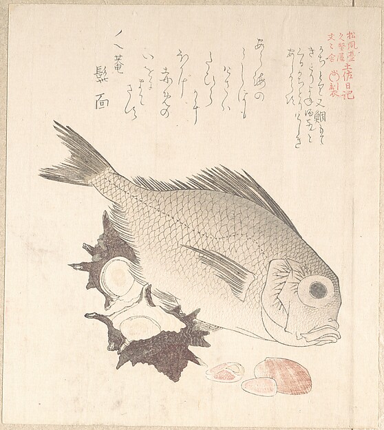 Kubo Shunman, Tai Fish and Top-Shells