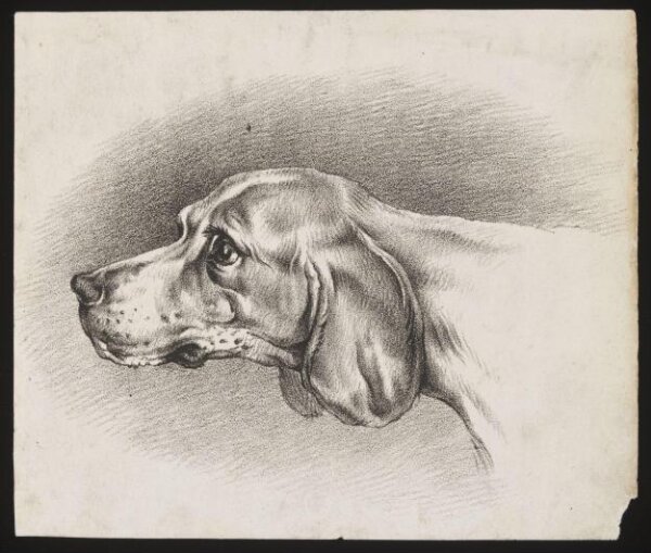 Unknown, Print