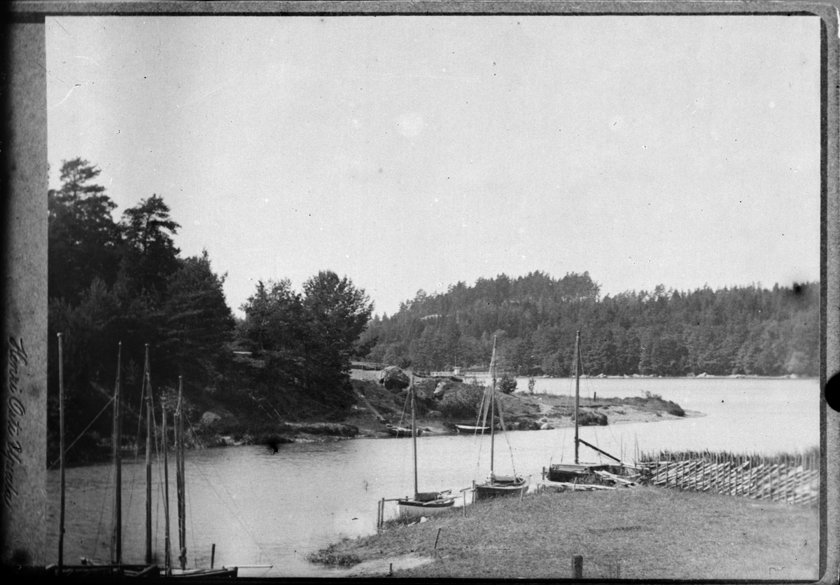 Henri Osti's Fotografiateliér, Reprofotografi - Flottsund, stadsdelen Sunnersta, Uppsala före 1914