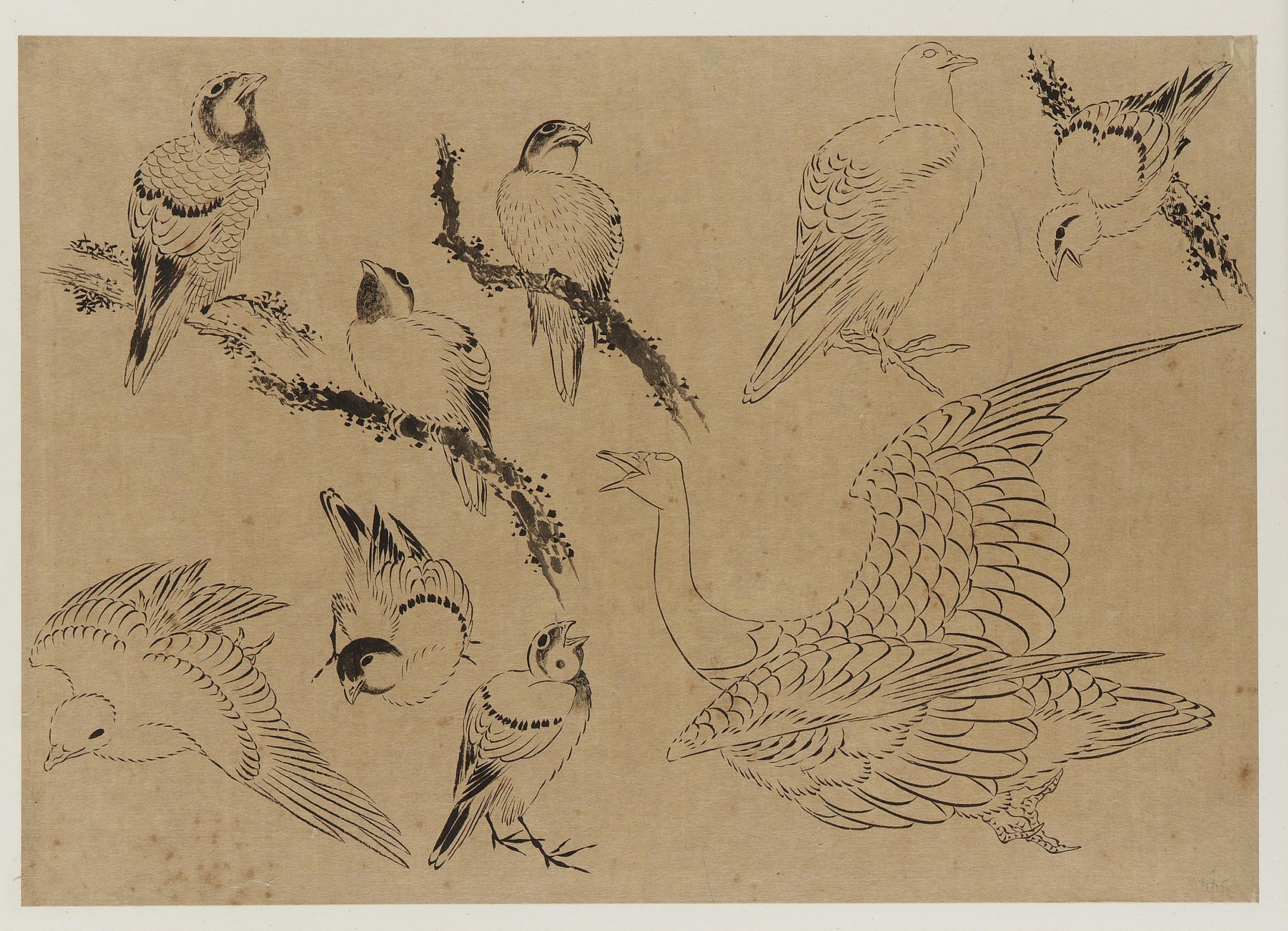 Katsushika Hokusai, Birds