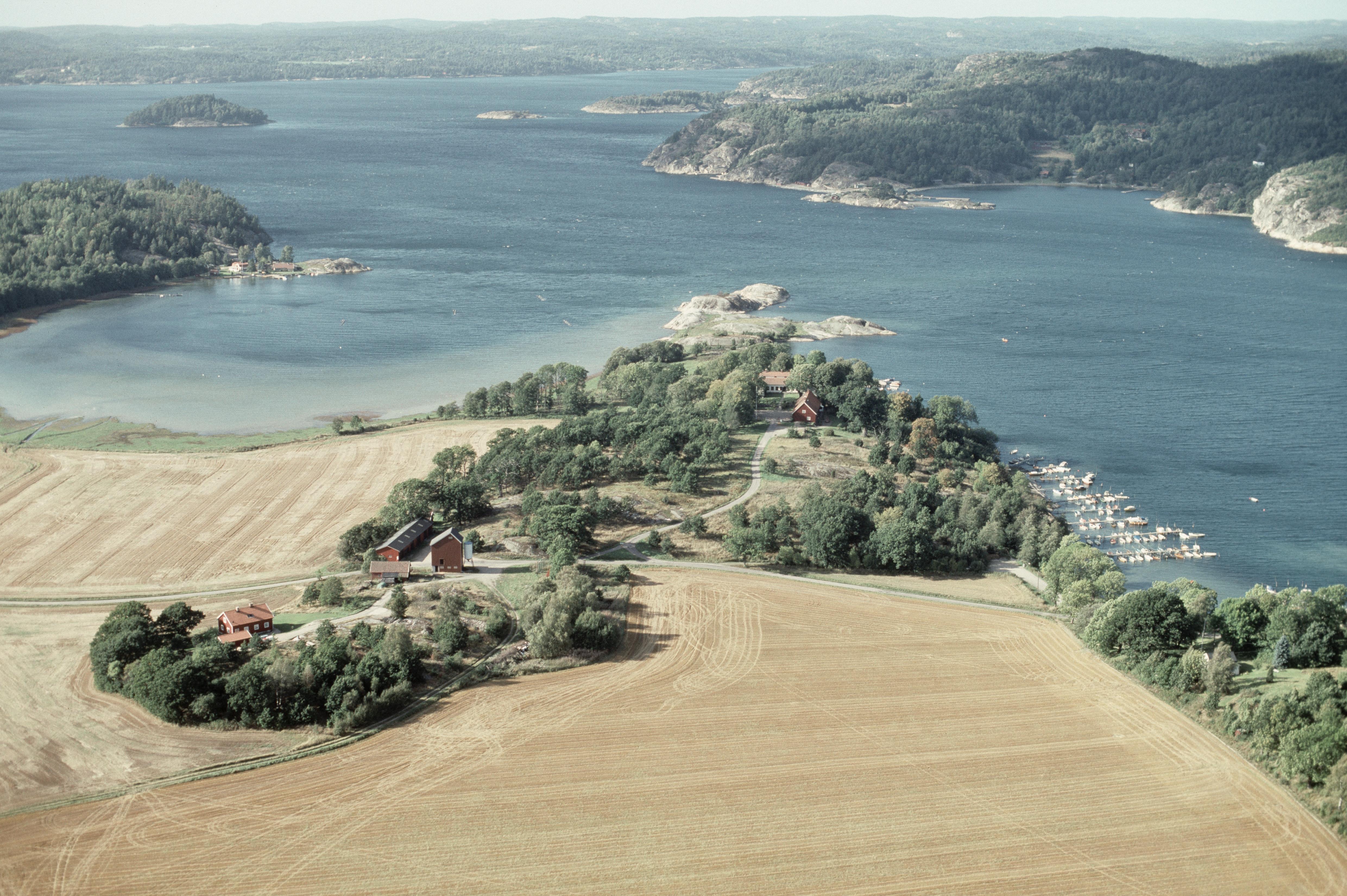 Jan Norrman, Skredsvik 146:1