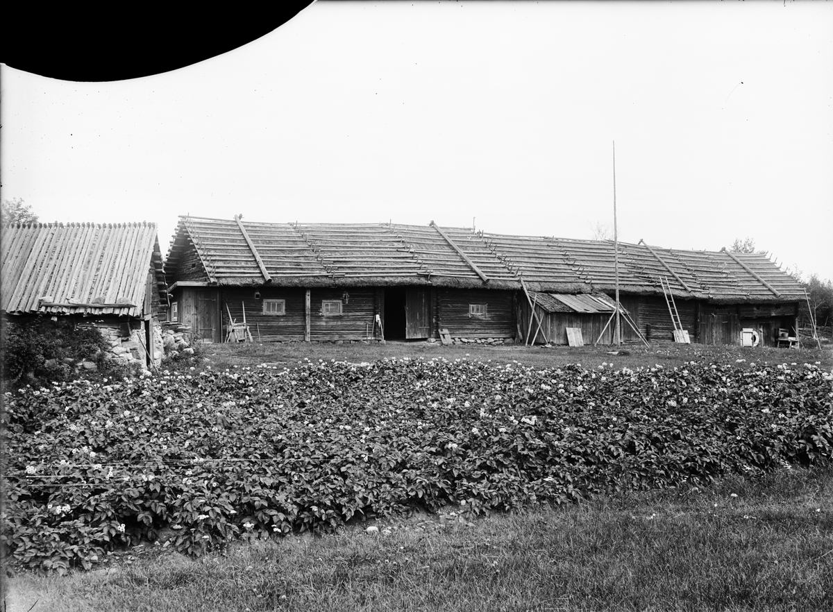 Paul Sandberg, Ekonomibyggnad, Hermansbo, Hållen, Hållnäs socken, Uppland, sannolikt 1930-tal