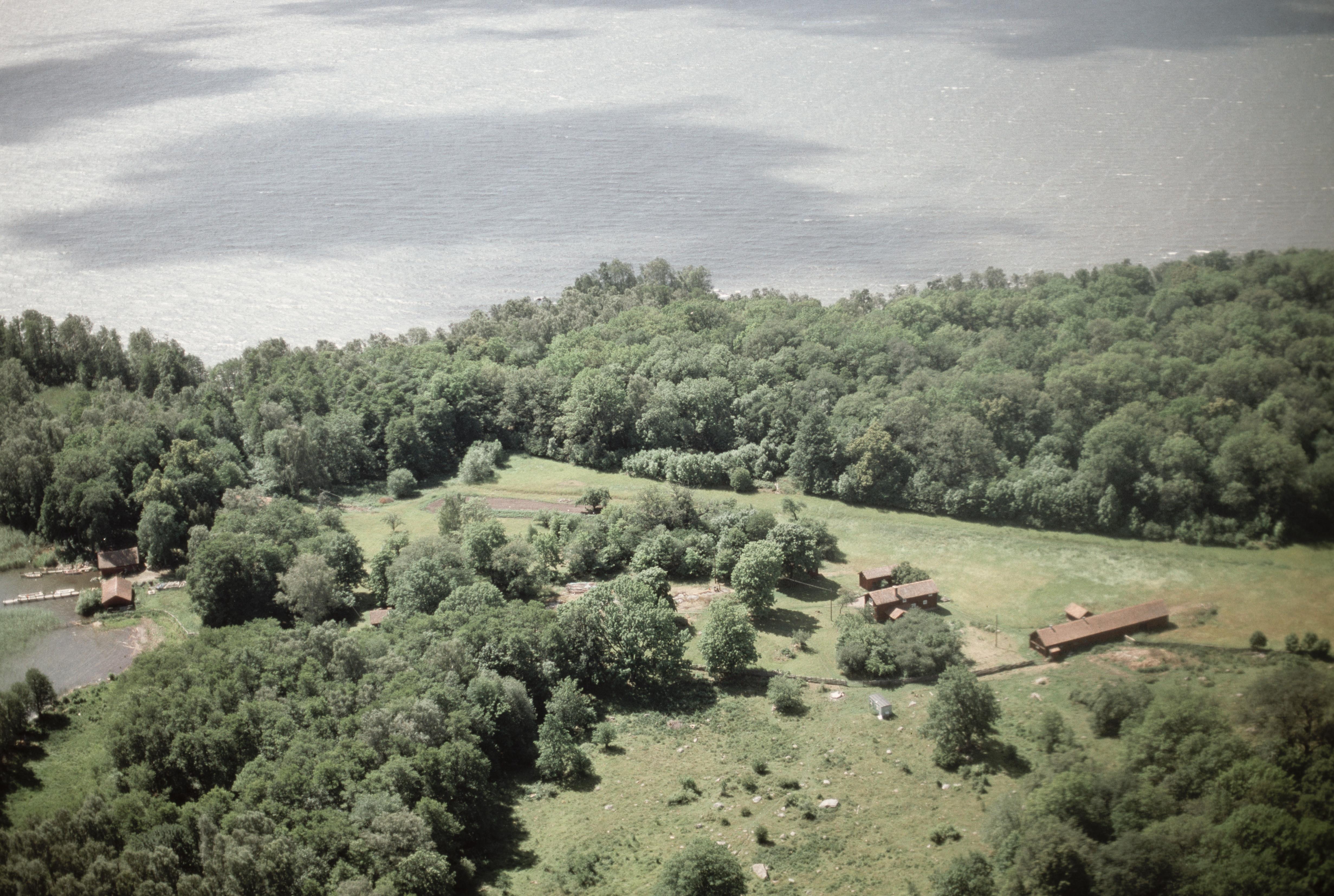 Jan Norrman, Tåkenön