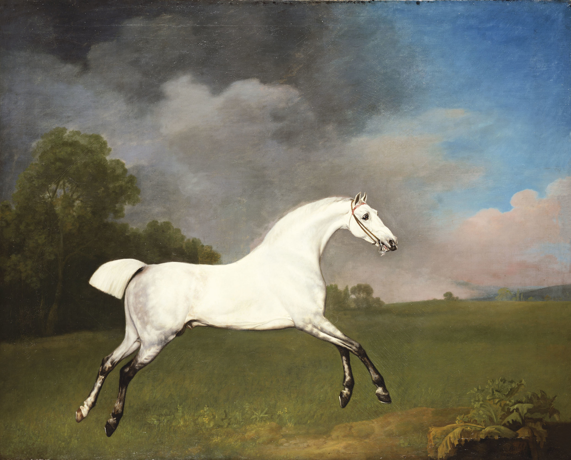 George Stubbs, A Grey Horse galloping in a field