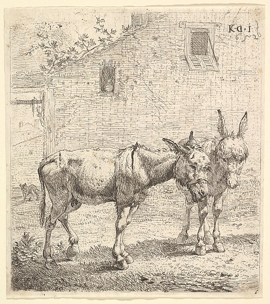 Karel Dujardin, Two donkeys standing in a grassy yard, one in profile view facing right and another behind in three-quarter view, a dog and a building wall with two windows beyond