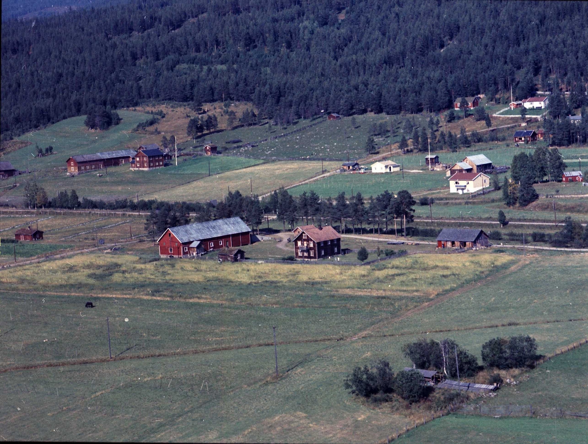 Widerøes Flyveselskap A/S, Gårdsbruk (Nestebyjordet).