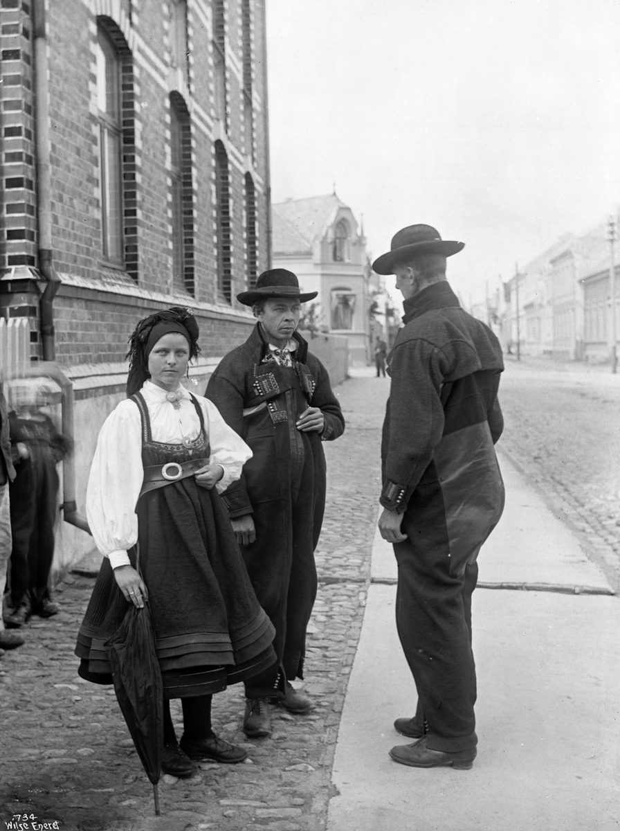 Anders Beer Wilse, Prot: Settesdøler 1902
