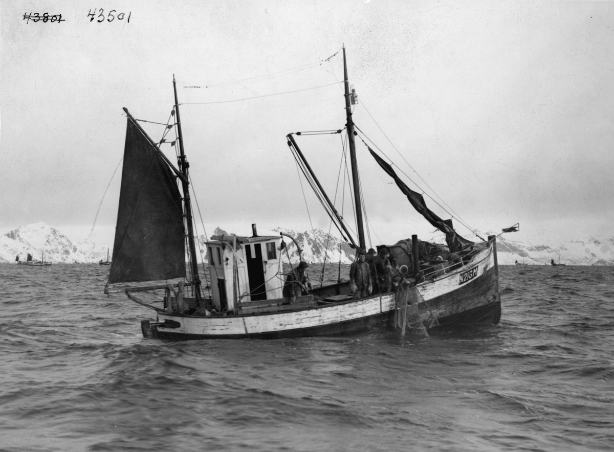 Anders Beer Wilse, -7391