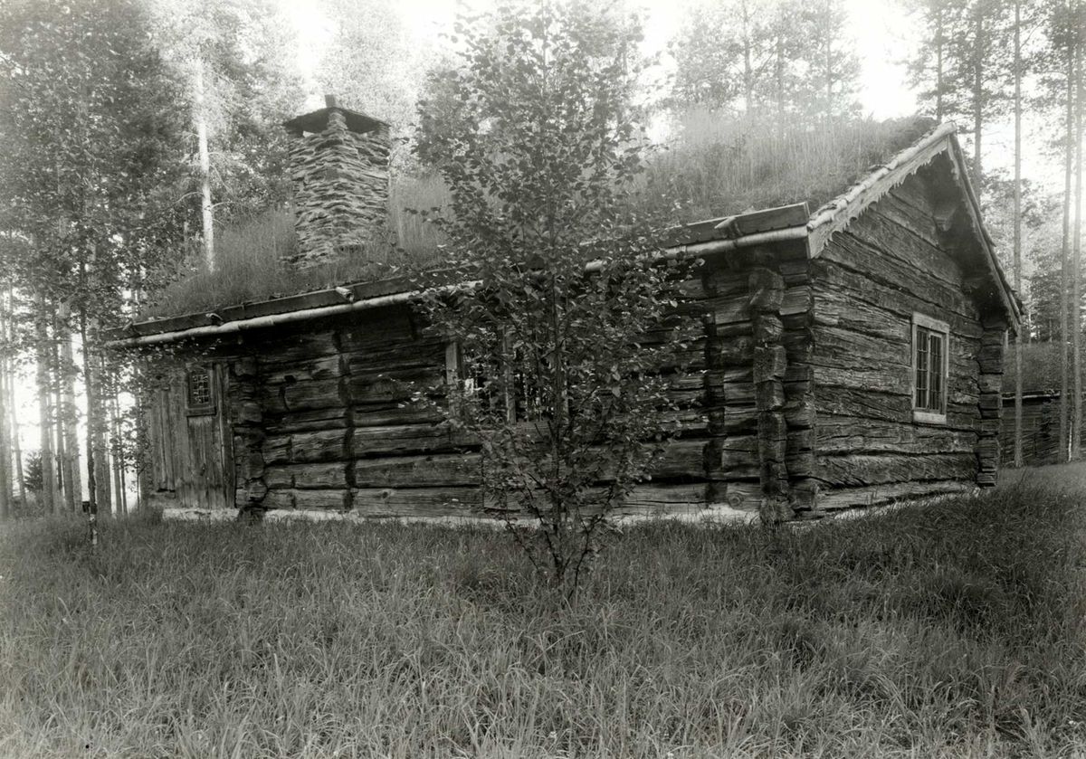 Gisle Midttun, Nordre Narjordet, "Sønvisgård", Os, Nord-Østerdal, Hedmark. Tømmerstue med torv på taket. Nå på Glomdalsmuseet.