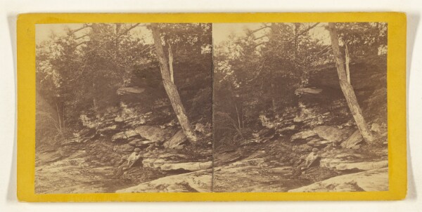 Edward and Henry T. Anthony & Co., A Ramble in Wayne County - Penn. Table Rock on the Wallenpaupack.