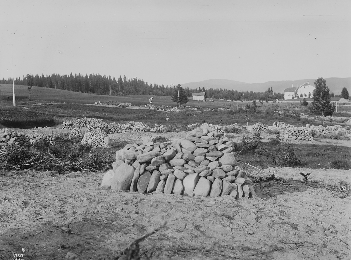 Anders Beer Wilse, Konv: Wulfsberg/rydning