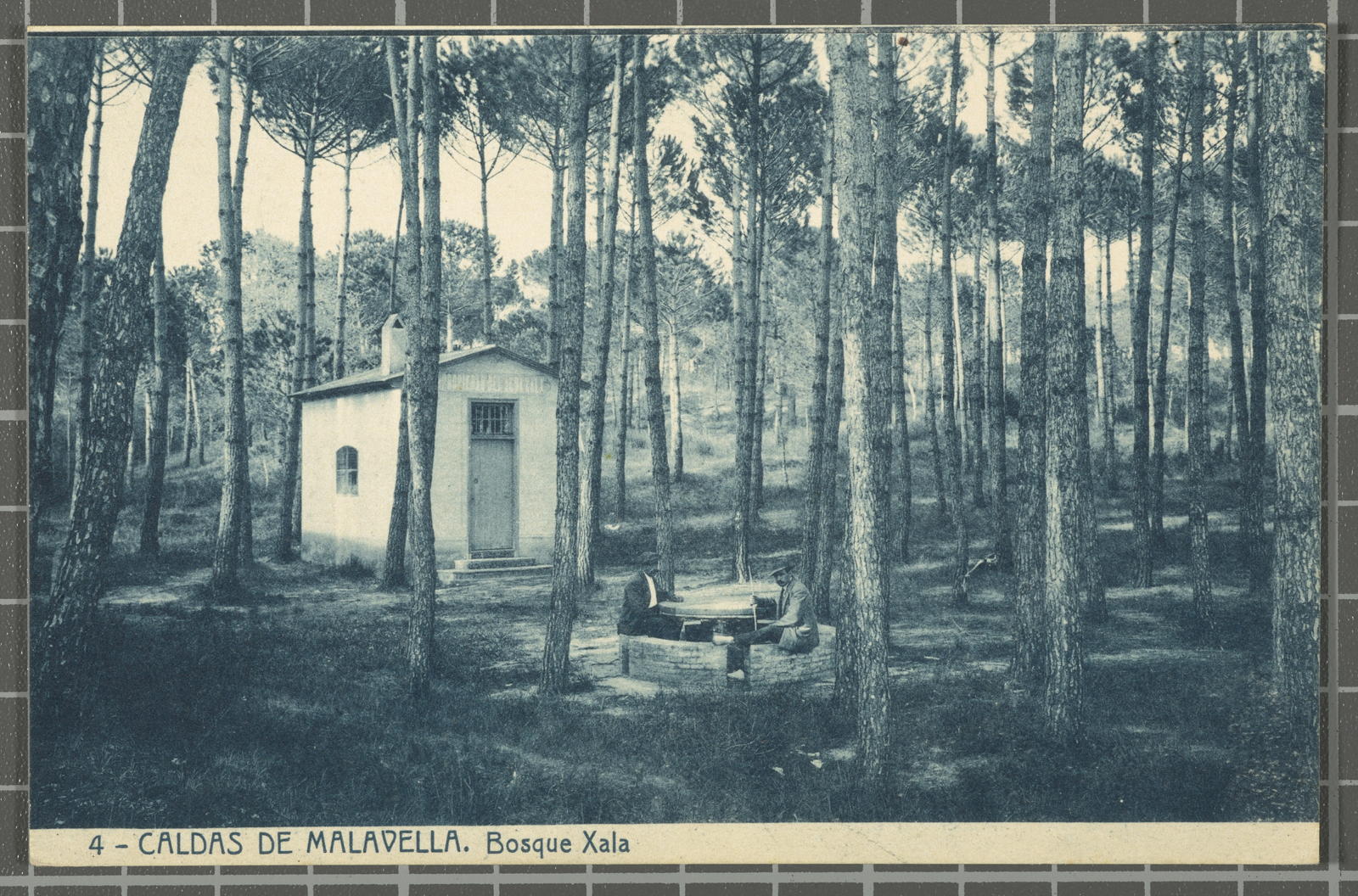 Desconegut, 4 - Malavella Caldas. Bosque Xala