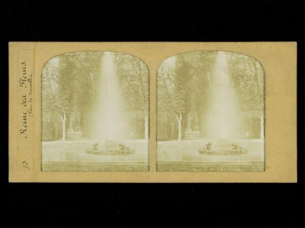 Unknown, Reine des Fleurs, Parc de Versailles