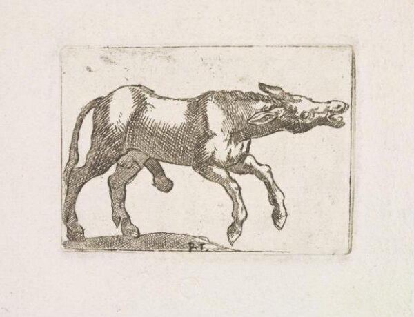 Unknown, Print