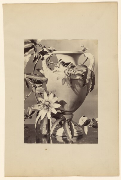 Unknown, [Vase with Passion Flowers]