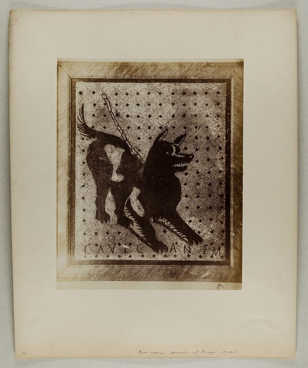Giorgio Sommer, 7508. Cave Canem - Mosaik aus Pompeji
