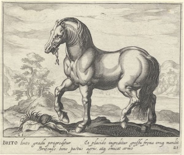 Panderen, Egbert van, (1581-1637?), (printmaker), Horse breeds: Landscape with a British horse