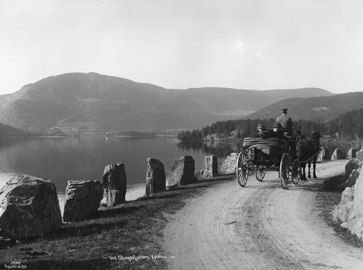 Anders Beer Wilse, Prot: Valdres - Veiparti Strandefjorden mot Fagernæs 23.Sep. 03