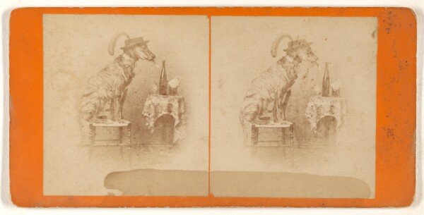 Peter F. Weil, [The Bachelor]/[Dog seated on stool, wearing hat, smoking cigar]