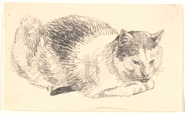 Christen Købke, Liggende kat