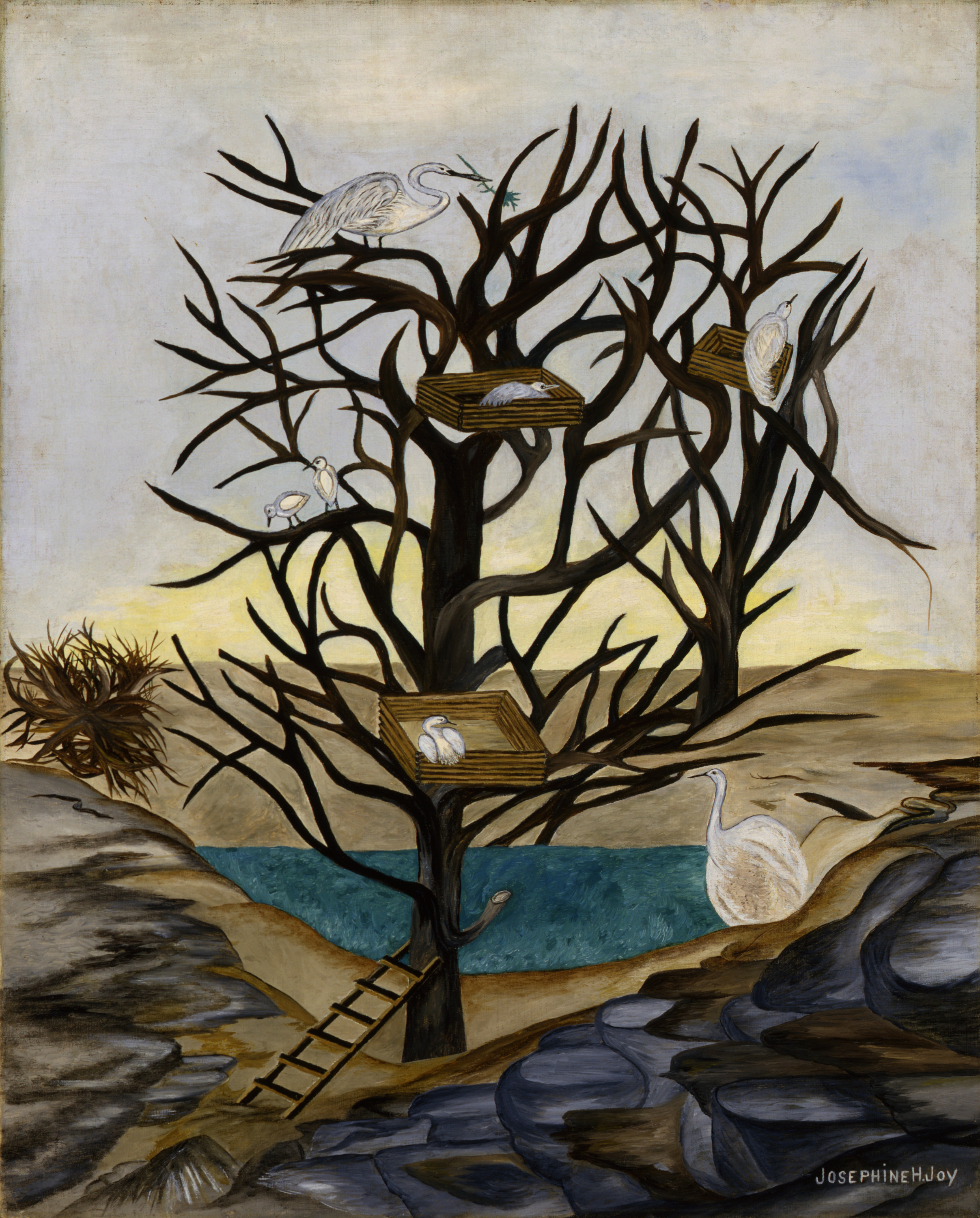 Josephine Joy, Waterbirds Nesting