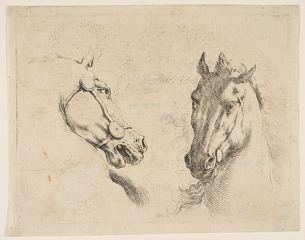 Stefano della Bella, Two Horse Heads