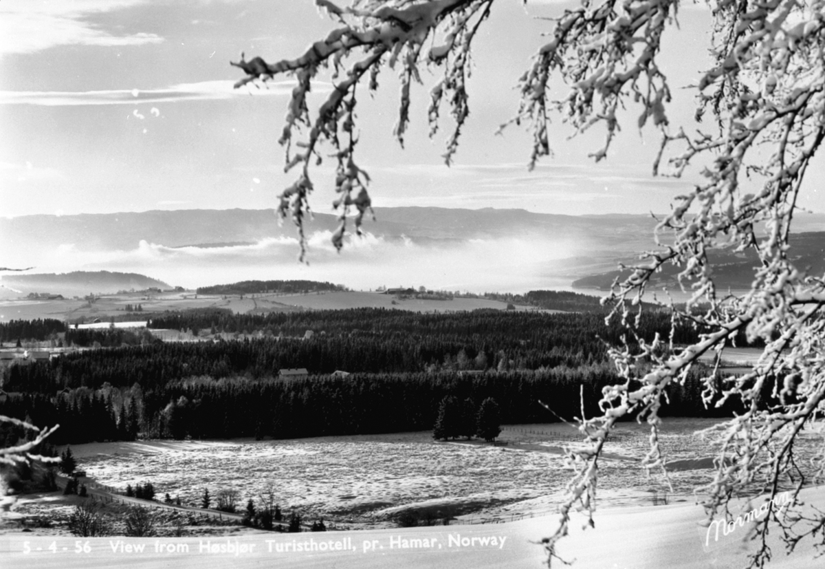 Anno Domkirkeodden, Utsikt fra Høsbjør Turisthotell, Furnes, vinter, frostrøyk.
