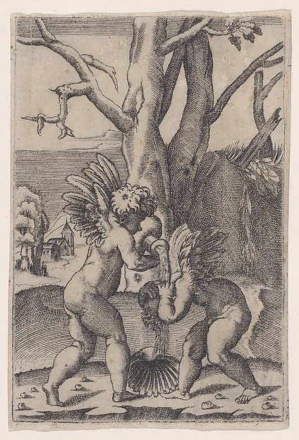 Agostino Veneziano (Agostino dei Musi), Two Cupids