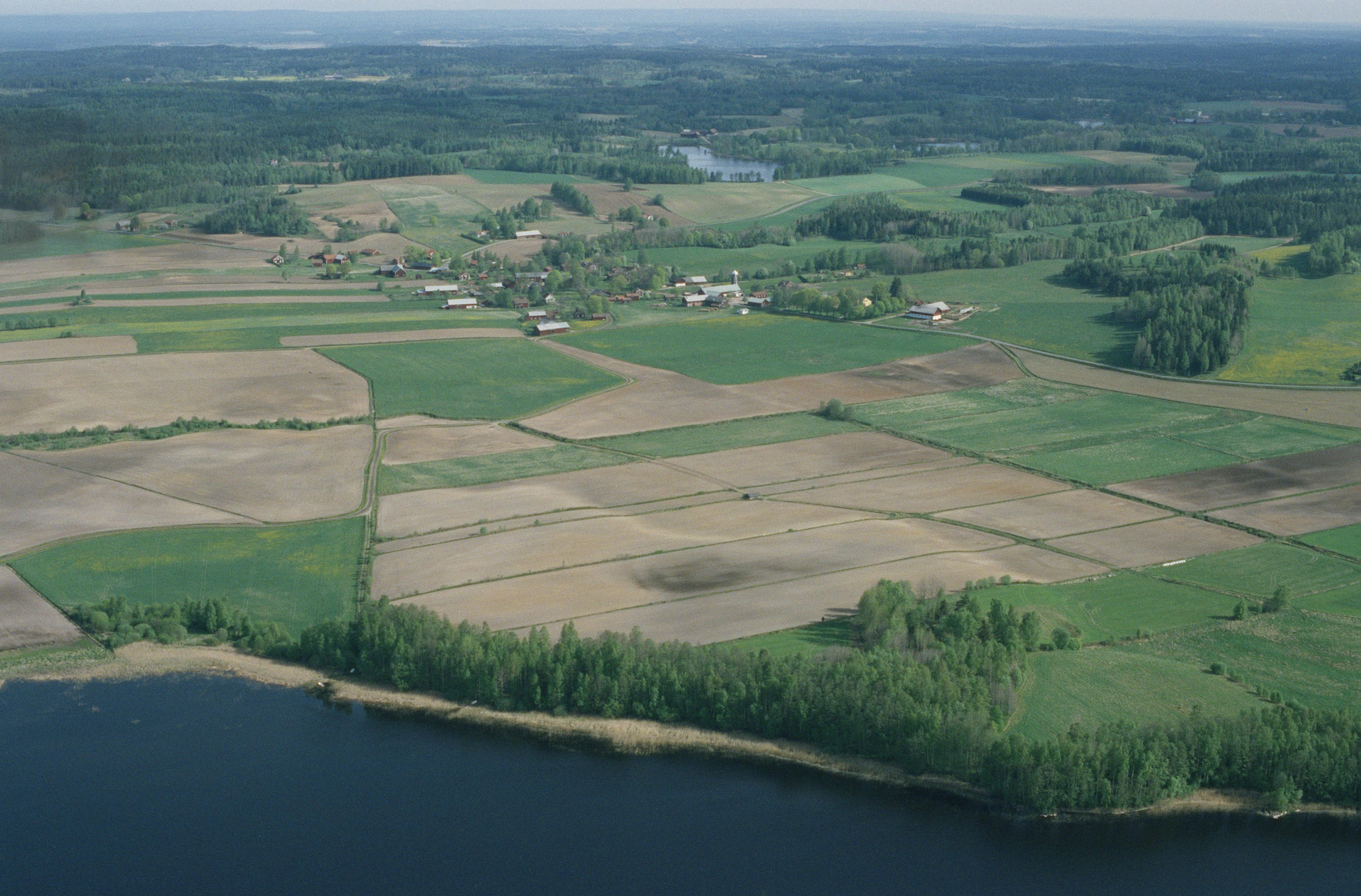 Jan Norrman, Snavlunda 262