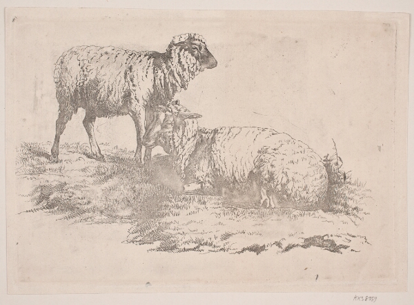 J.P. Møller, To får