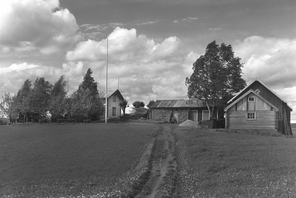 Anno Domkirkeodden, EKSTR: GARDSTUN, HAGABAKKEN. Se Løtenboka, bind 1. Bygdeboka fra 1949, side 428