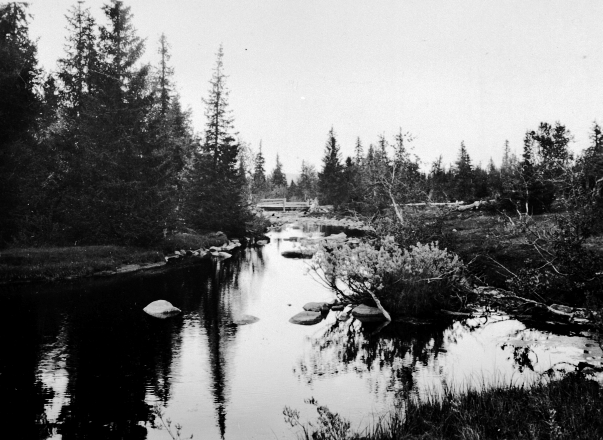 Anno Domkirkeodden, Bru over Grunnbekken, Ringsakerfjellet.