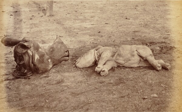 Unknown, Mother and Child