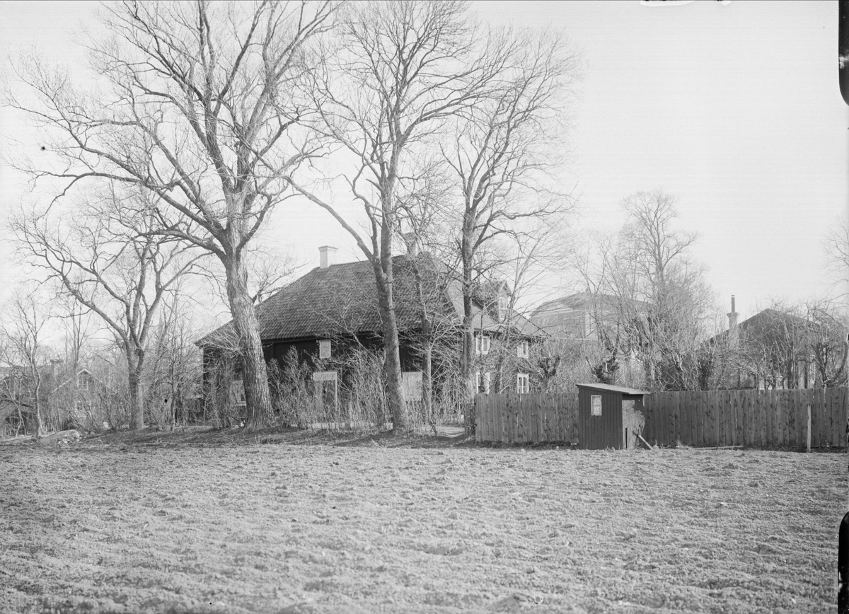 Alfred Dahlgren, Lugnet, Kåbo, Uppsala 1901 - 1902