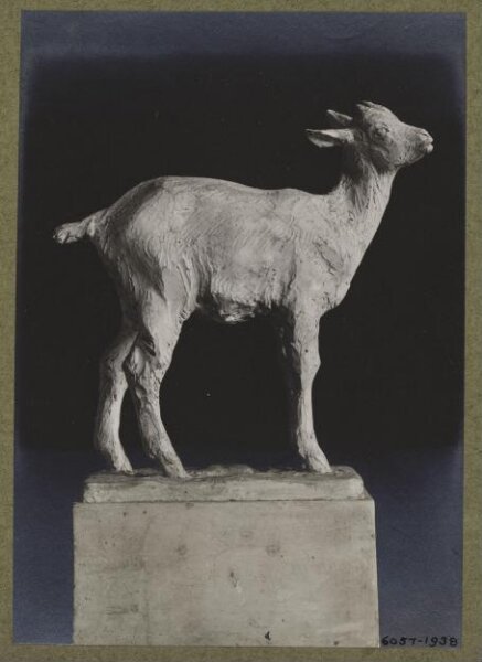 unknown, Photograph