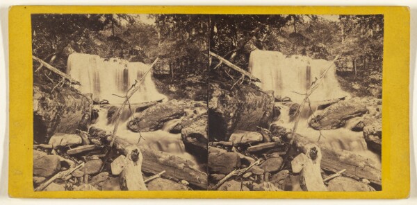 Edward and Henry T. Anthony & Co., The Glens of the Catskills. Bastion Fall in the Kauterskill Gorge.