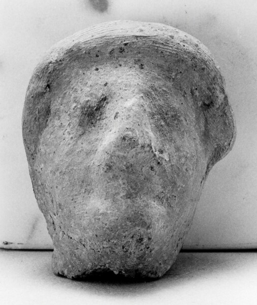 Unknown, Human Head