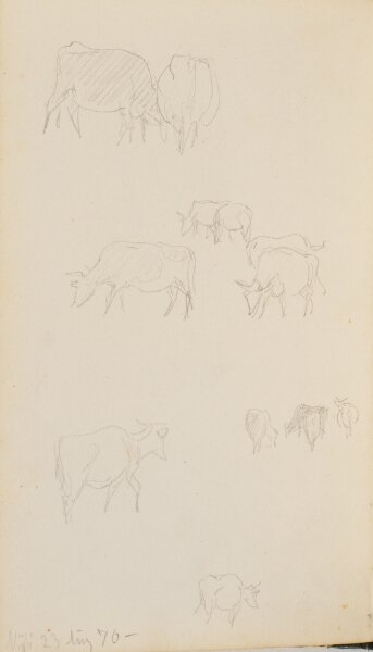 P.C. Skovgaard, Køer