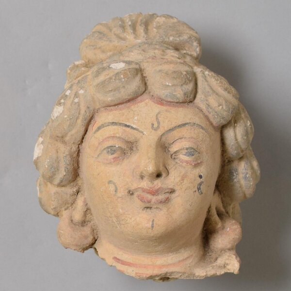 Unknown, Head of a Youth