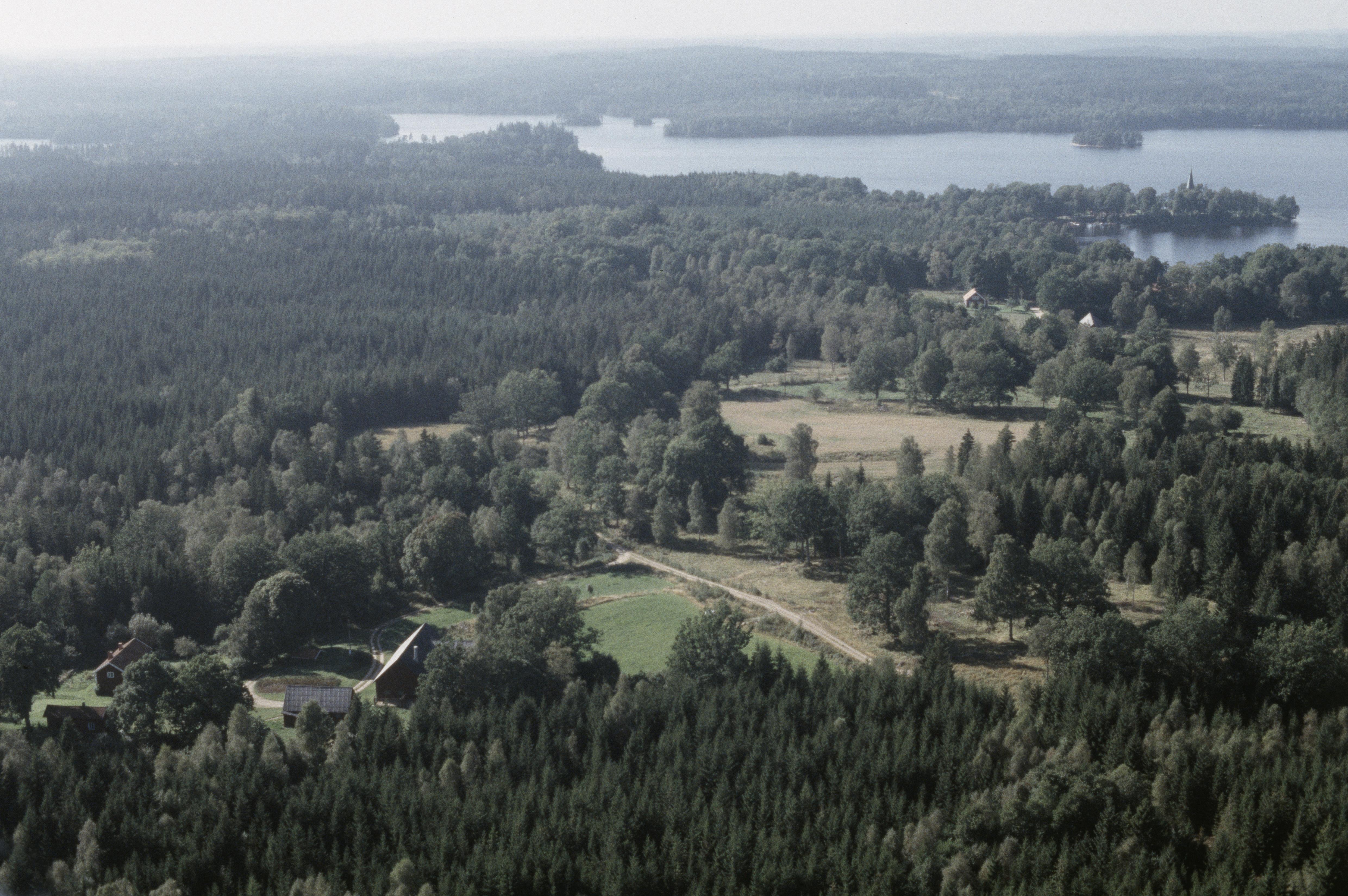 Jan Norrman, Sandvik